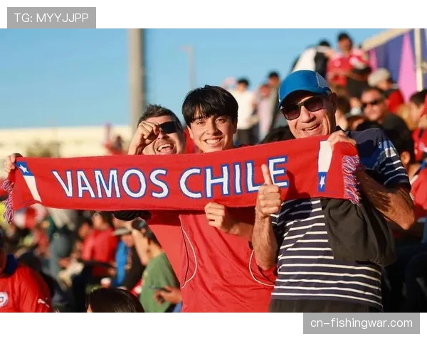 球迷冲入赛场事件涉事者被依法处以行政拘留及观赛禁令